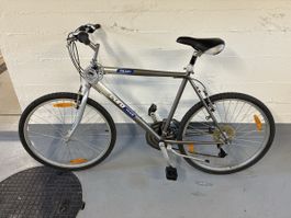 Velo OKAPI Euro Team 26 Zoll Damen/Herren Silber Gebraucht