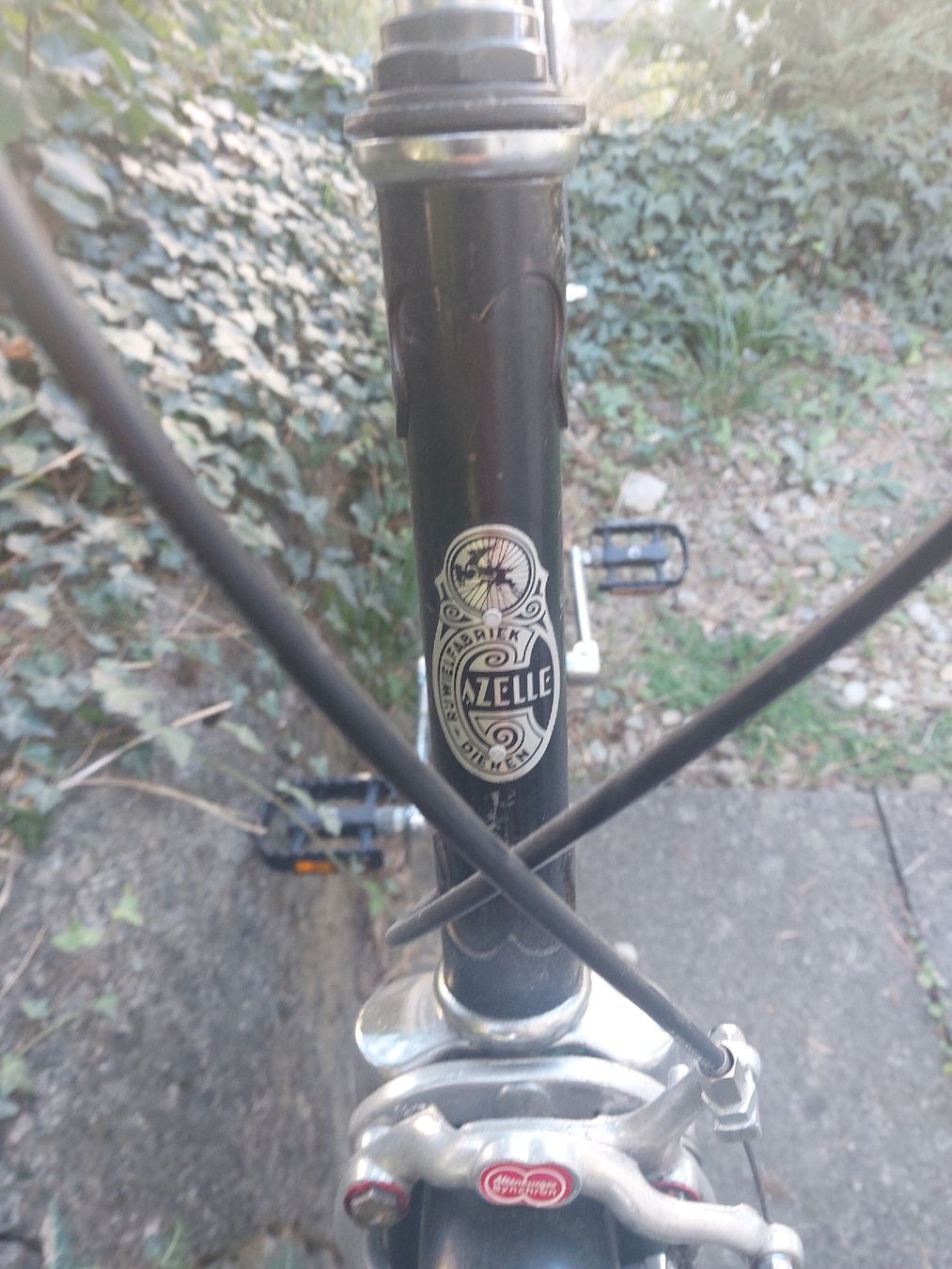 Gazelle Vélos: Gazelle – D'occasion à Fribourg par o81_5qlf 2
