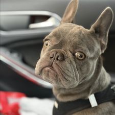 Profile image of san_t9fp