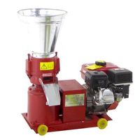 GeoTech GWPM150 Pelletpresse Benzinmotor