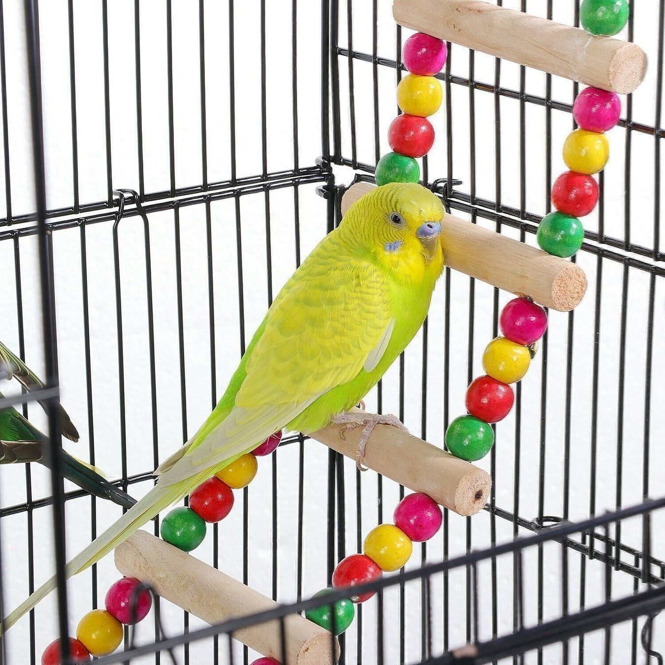 Vogelhäuser: Yaheetech Vogelkäfig Wellensittich – Neu und originalverpackt aus Bottighofen von zaap 4