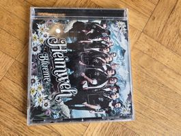 CD