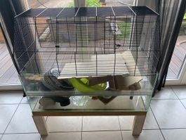 Nagetierkäfig mit Zubehör - sehr guter Zustand!🐭🏠