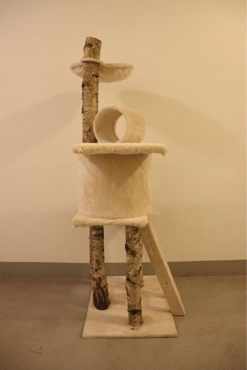 Tiragraffi: UNIKAT-BIRKEN-KATZENBAUM – Nuovo e nell'imballaggio originale da Glarus venduto da PBachmann 3