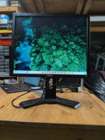 Dell Monitor