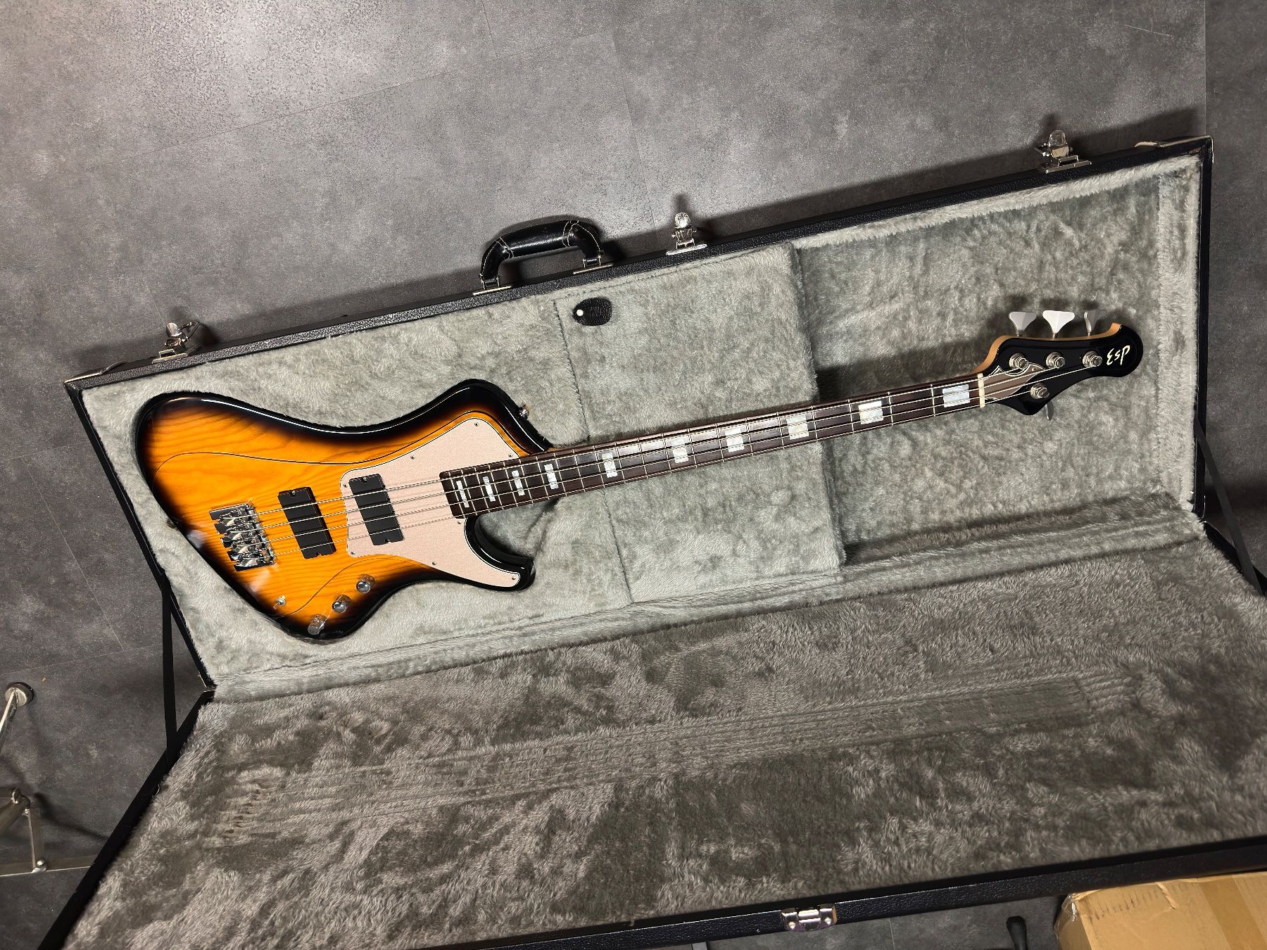 Esp Strumenti musicali: ESP Stream Bass – Usato da Recherswil venduto da Geruempel 9