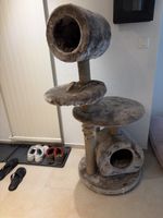 Katzenbaum