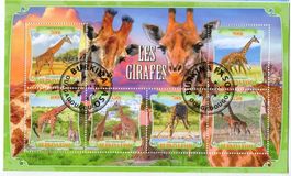 Block "Giraffen". Burkina Faso.