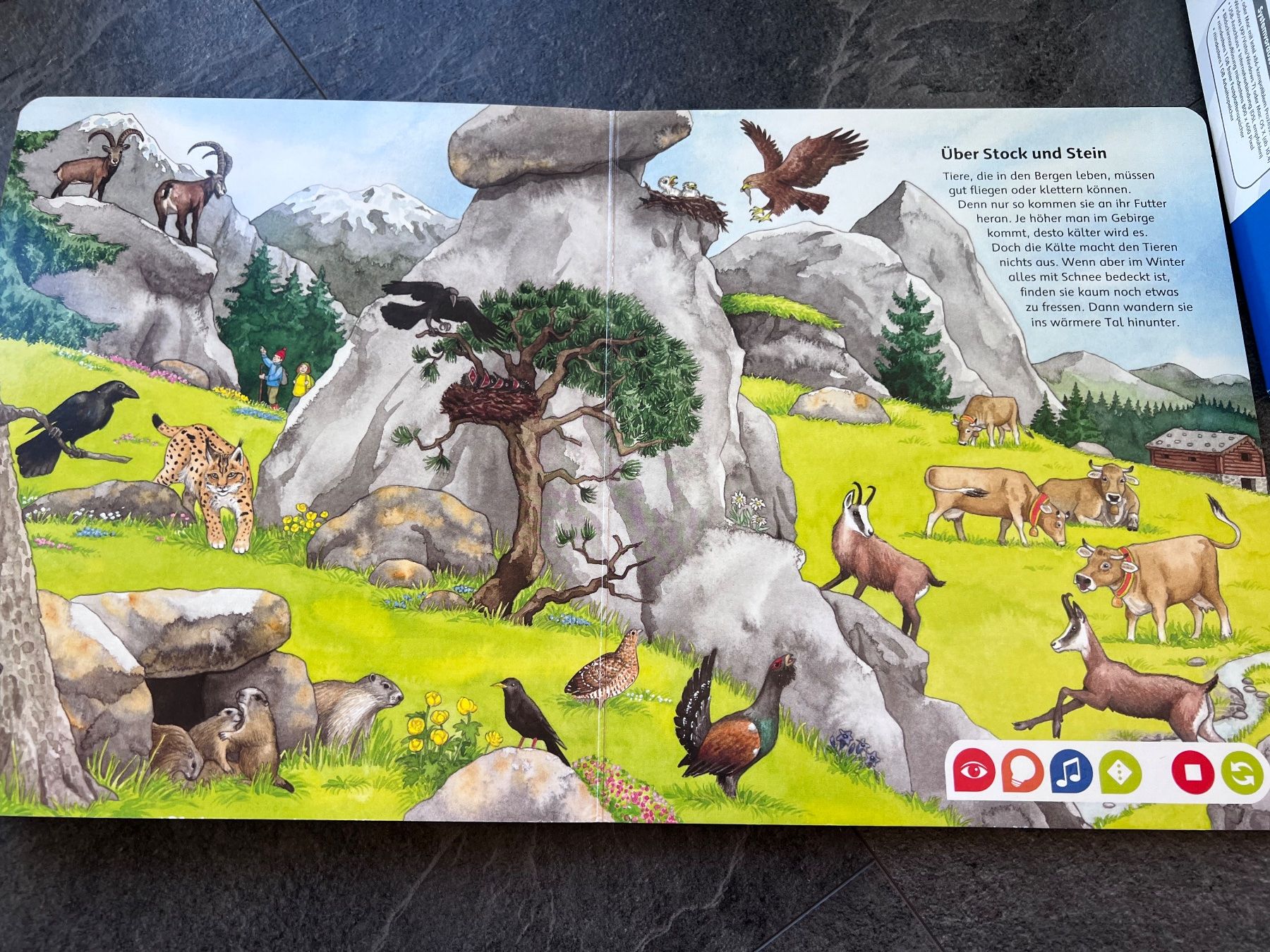 Tiptoi Jeux: Tiptoi Lernspielbuch, Tiere – D'occasion à Walzenhausen par Cerna007 4