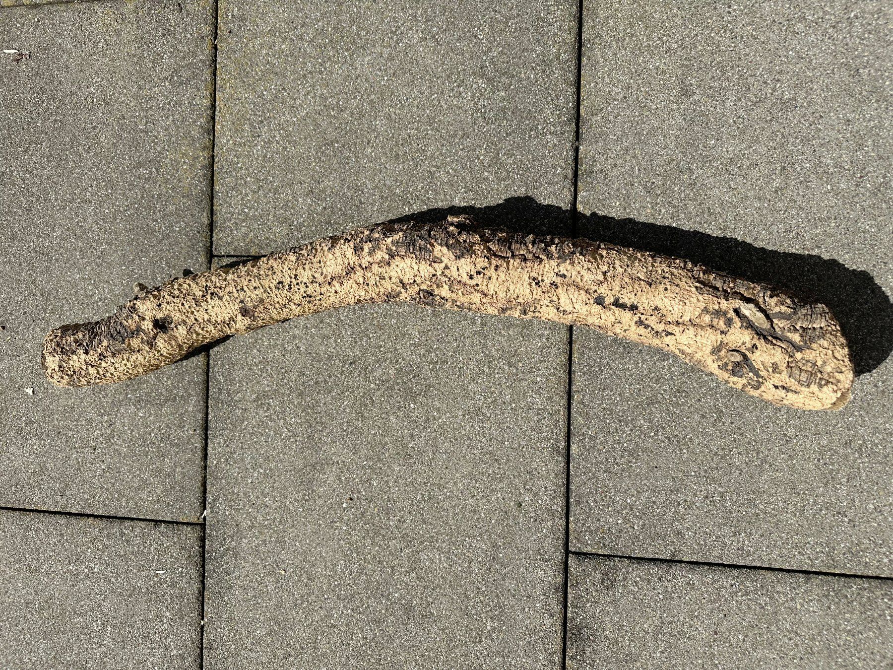 Articoli in legno: Trixie Kork Troncos ca. 79cm Lang & 9cm Durchmesser – Usato da Samstagern venduto da Panizza