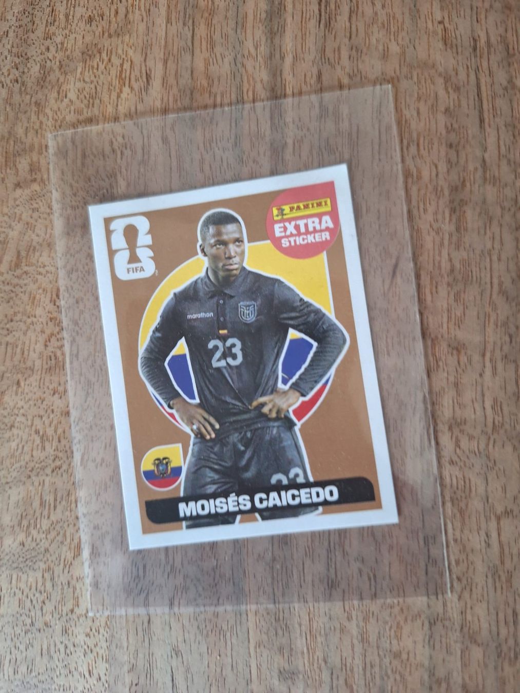 Panini Cartes à collectionner: Panini extra Sticker Caicedo bronze – Neuf (Voir description) à Udligenswil par SSundMS