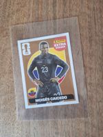 Panini extra Sticker Caicedo bronze