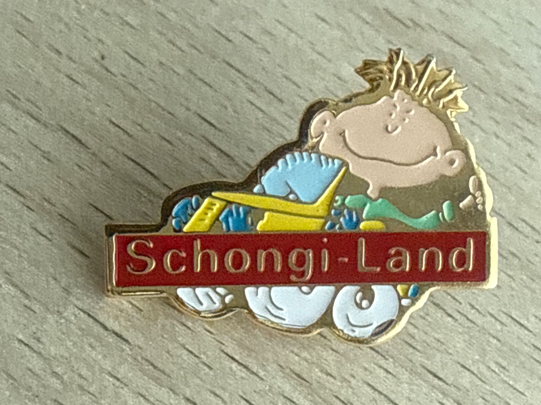 Placchette & Badge: Pin Schongi-Land – Usato da Glattbrugg venduto da Schweigmatt