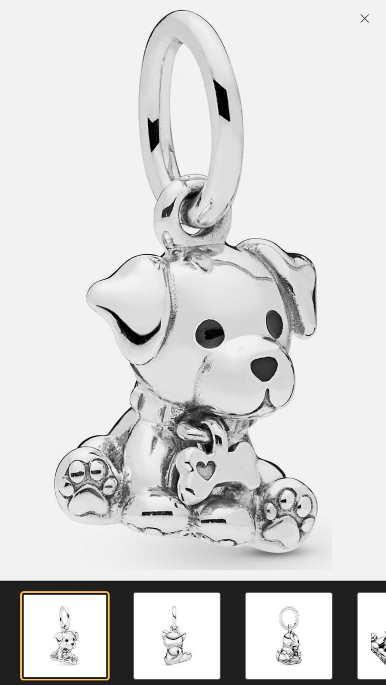 Pandora Anhänger: NEU! Pandora Charm - Labrador Dog – Neu und originalverpackt aus Schönenwerd von d.chiara 7