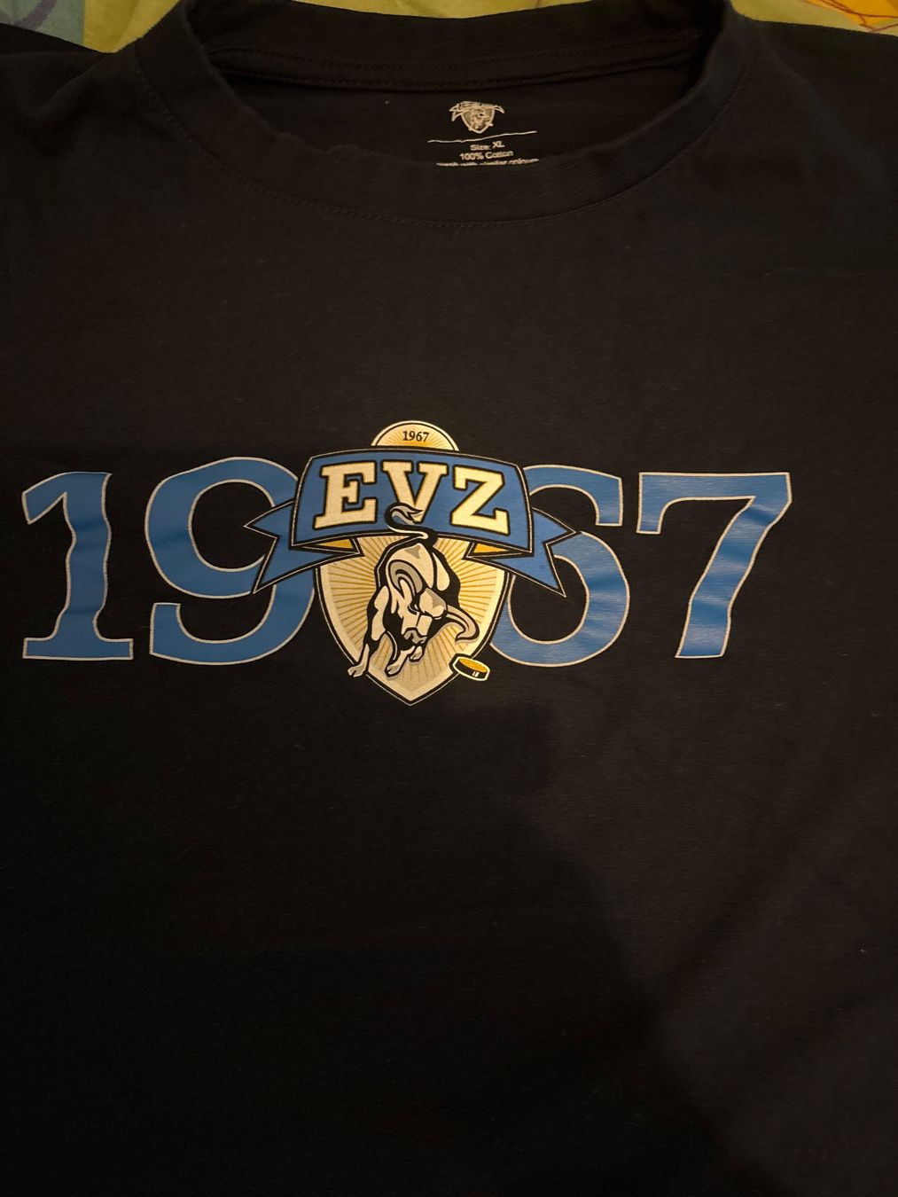 T-shirt: Shirt EVZ im XL – Nuovo (secondo la descrizione) da Amriswil venduto da SCHLOSSGEISTLI 1