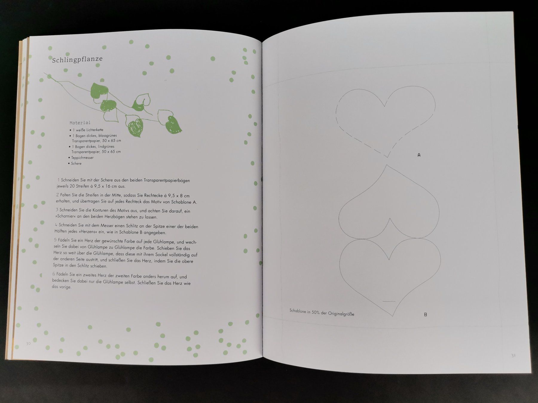 Libri: BUCH Lichtgirlanden – Usato da Schaffhausen venduto da Restwert_SH 6