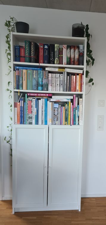Ikea Billy Regal Turen