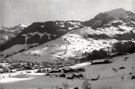 Zweisimmen, mit Rinderberg
