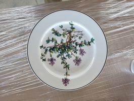Villeroy & Boch 10 Teller Botanica/ Vintage-Serie