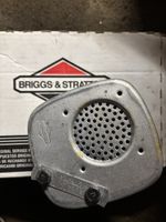 Briggs and Strattion Auspuff
