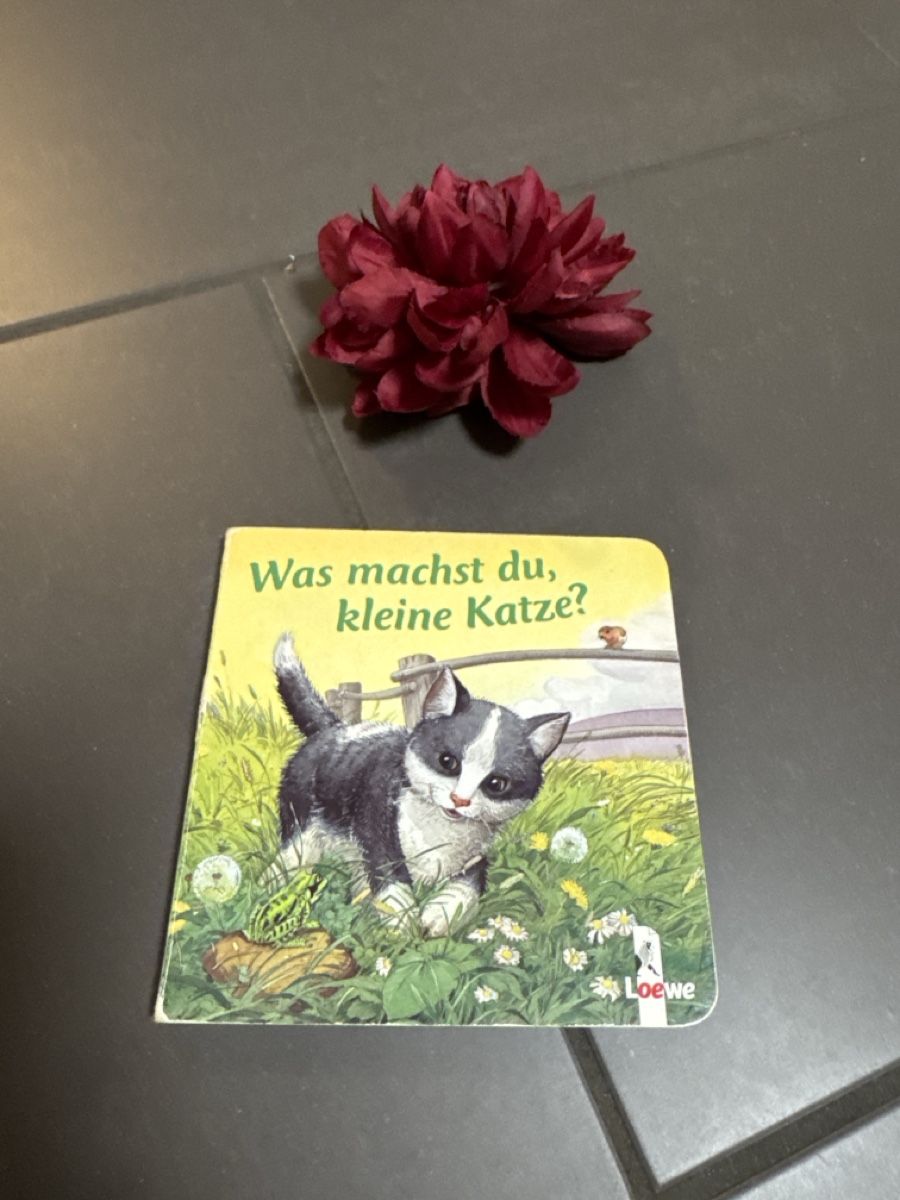 Libri: Was machst du, kleine Katze Kinderbuch – Usato da Zürich venduto da Belisimo