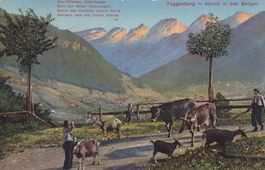 Toggenburg - Abend in den Bergen