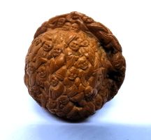 noix Hediao sculptée China geschnitzte Hediao Nuss 19e - 20e