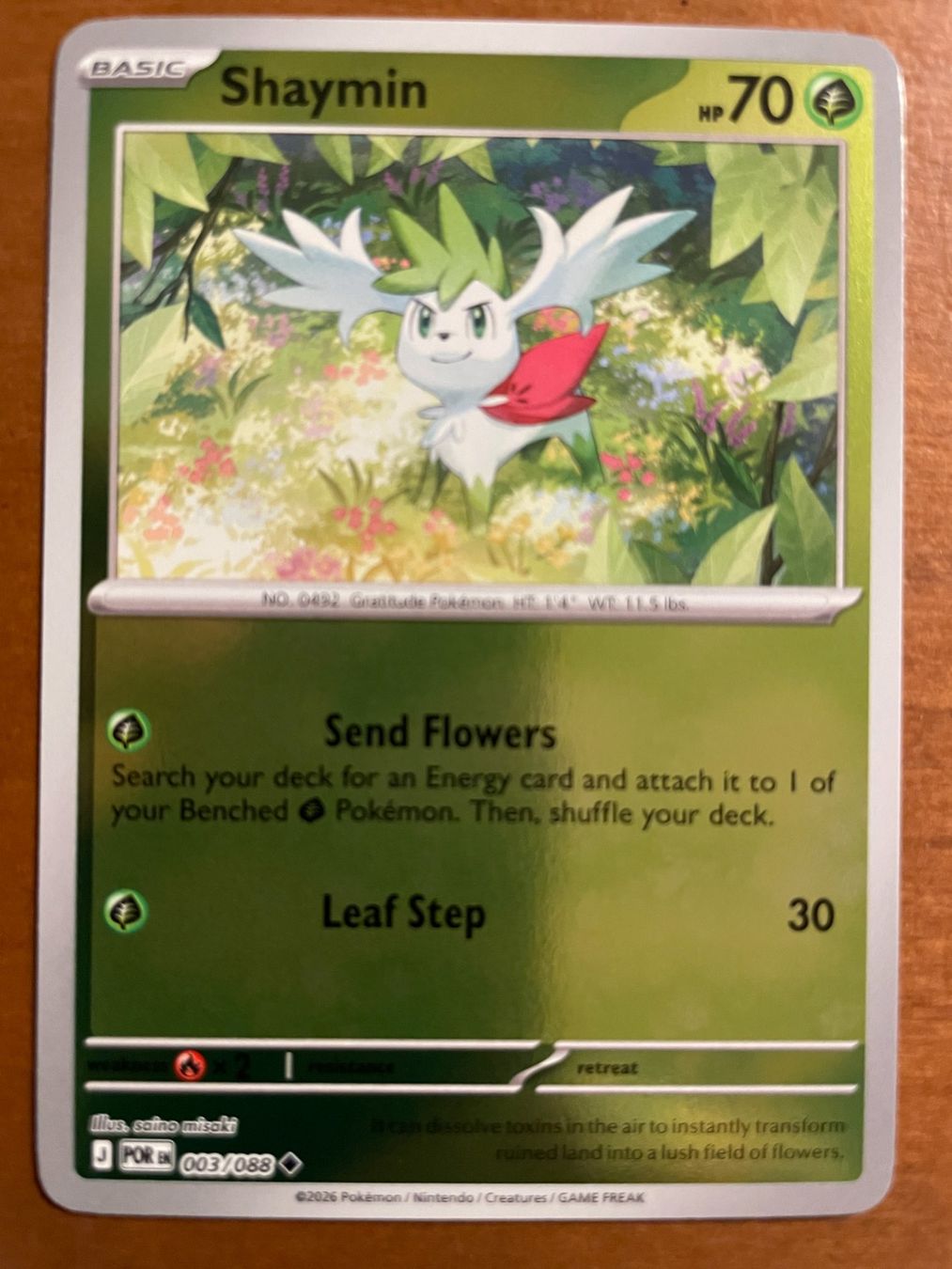 Pokémon Carte collezionabili: Pokemon Shaymin Reverse (Versand gratis) – Nuovo (secondo la descrizione) da Chur venduto da Angerson