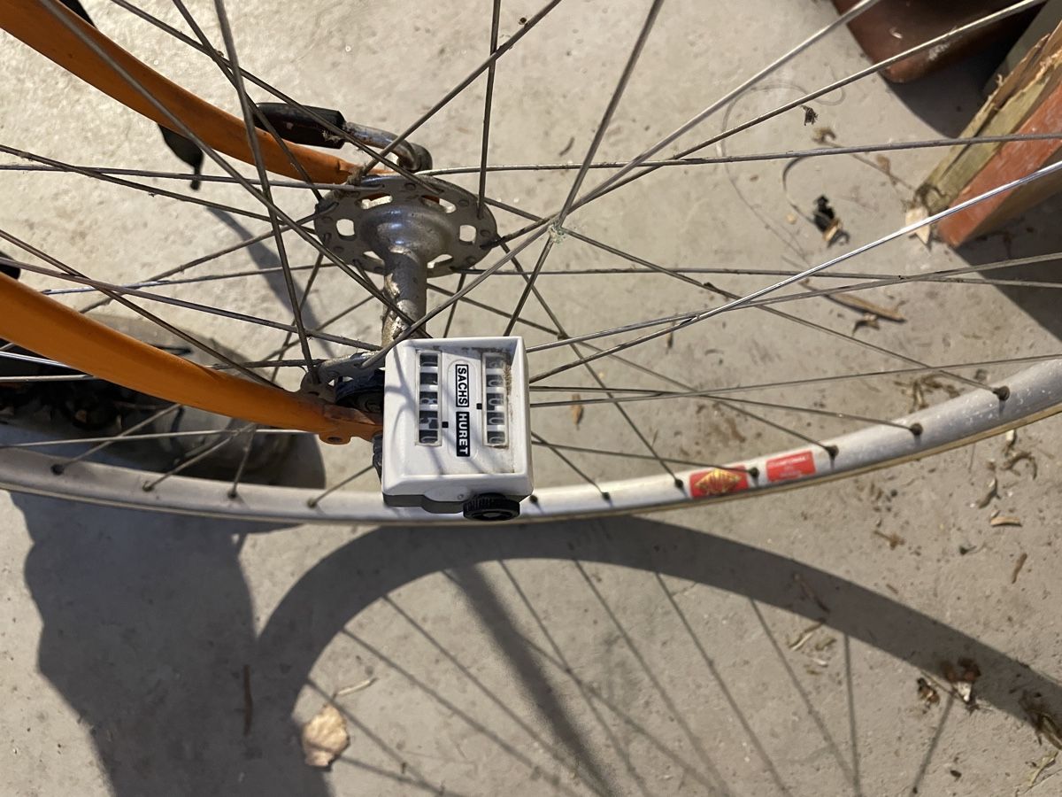 Biciclette: Eiger Rennvelo – Usato da Chur venduto da fan_gh6f 4