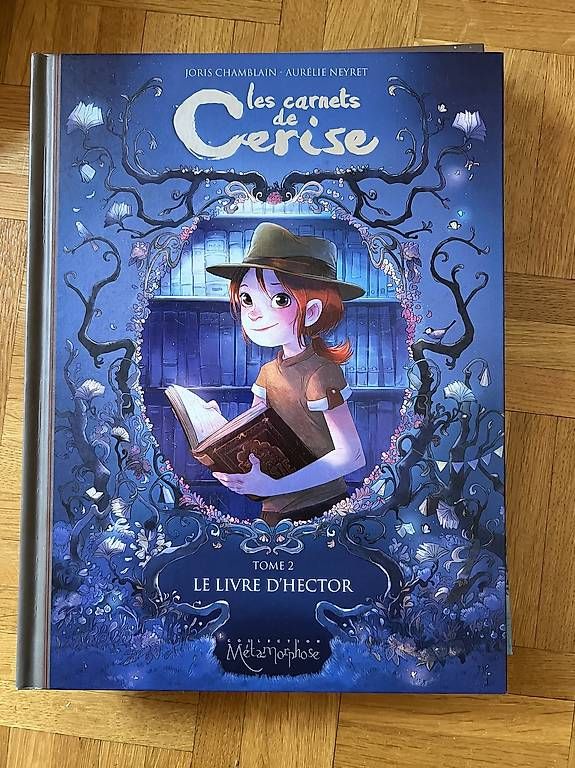 BD: Les Carnets de Cerise tome 2 – D'occasion à Onex par seset