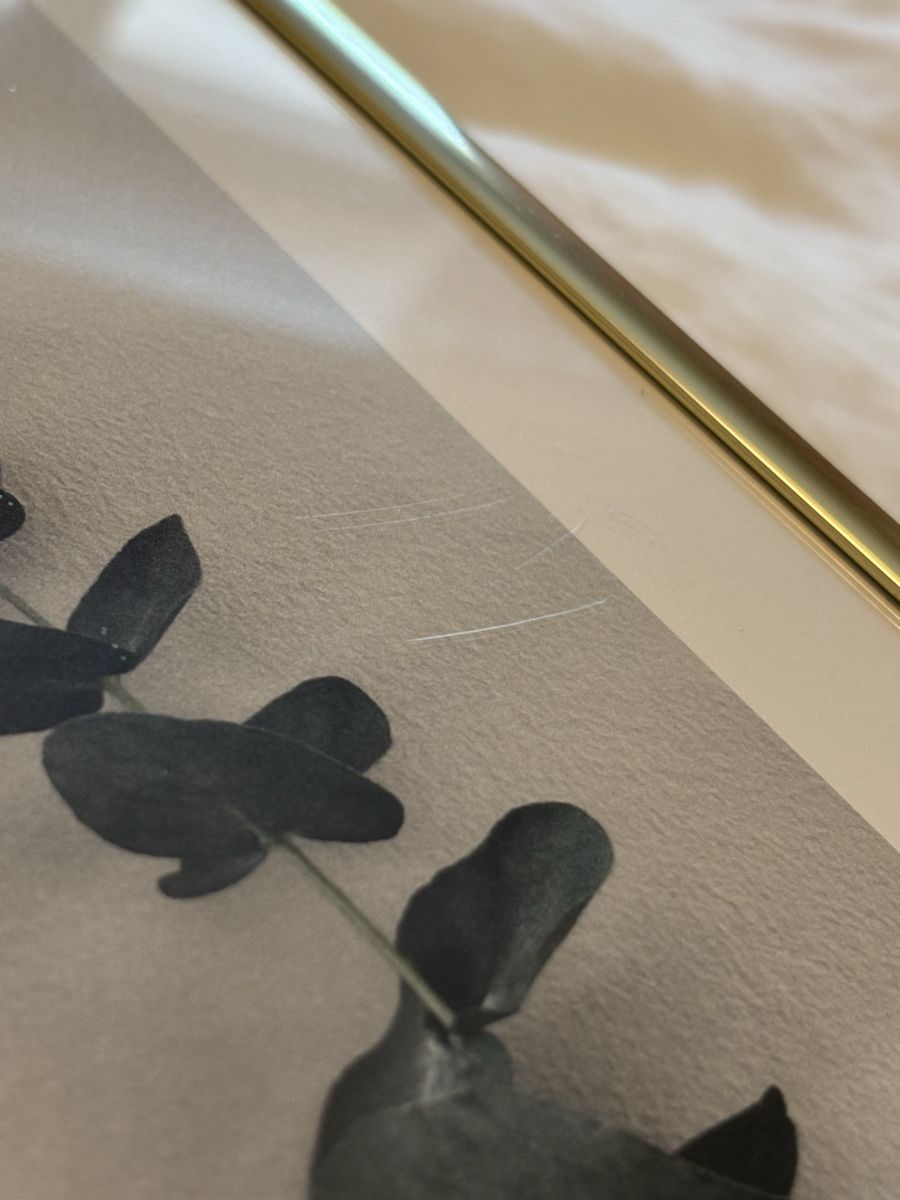 Posters & Illustrations: Poster mit Bilderrahmen Gold  – D'occasion à Winterthur par beijaflor777 5