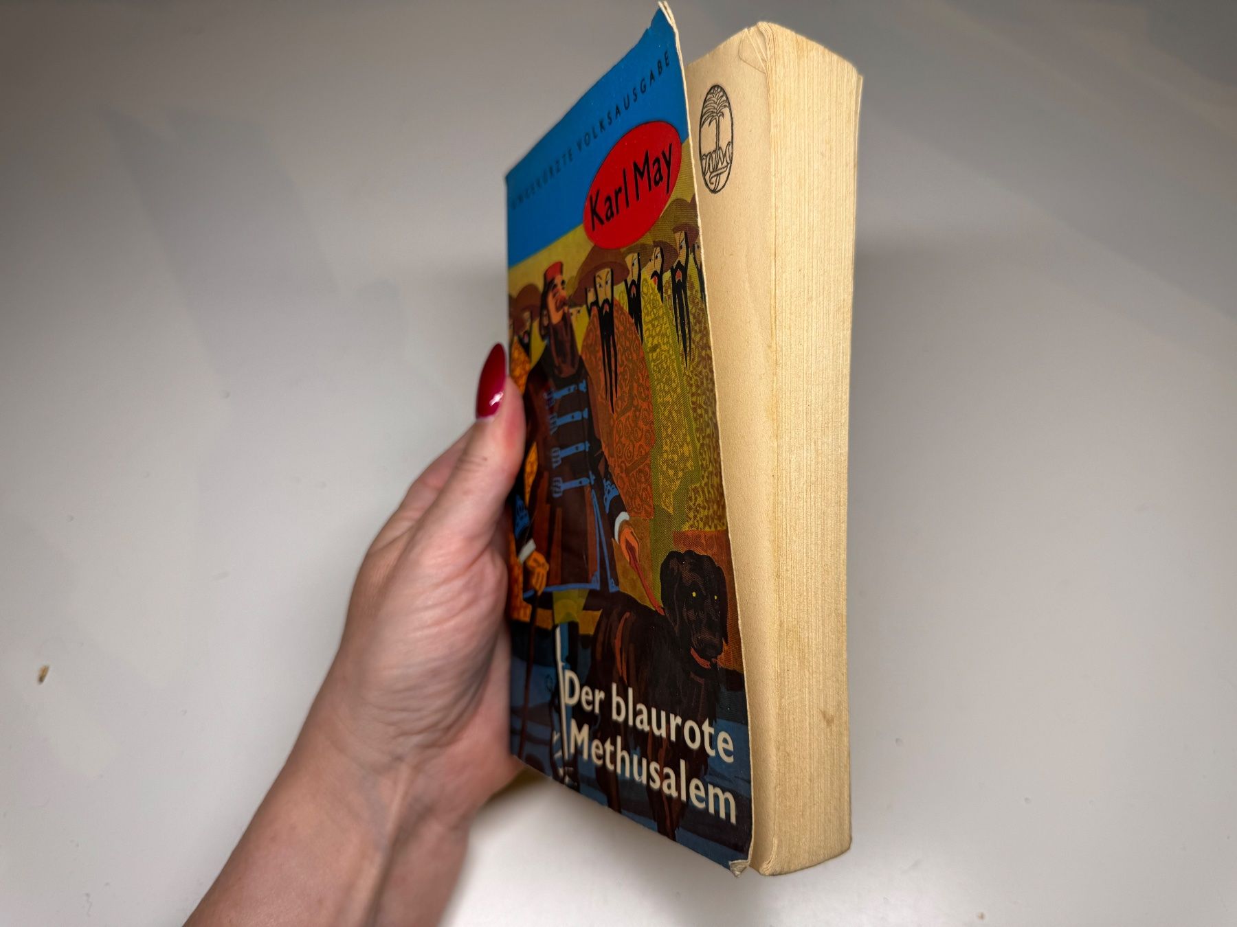 Libri: ROMAN: Karl May, Der blaurote Methusalem – Usato da Grosswangen venduto da Kleine.Knoepfe 1