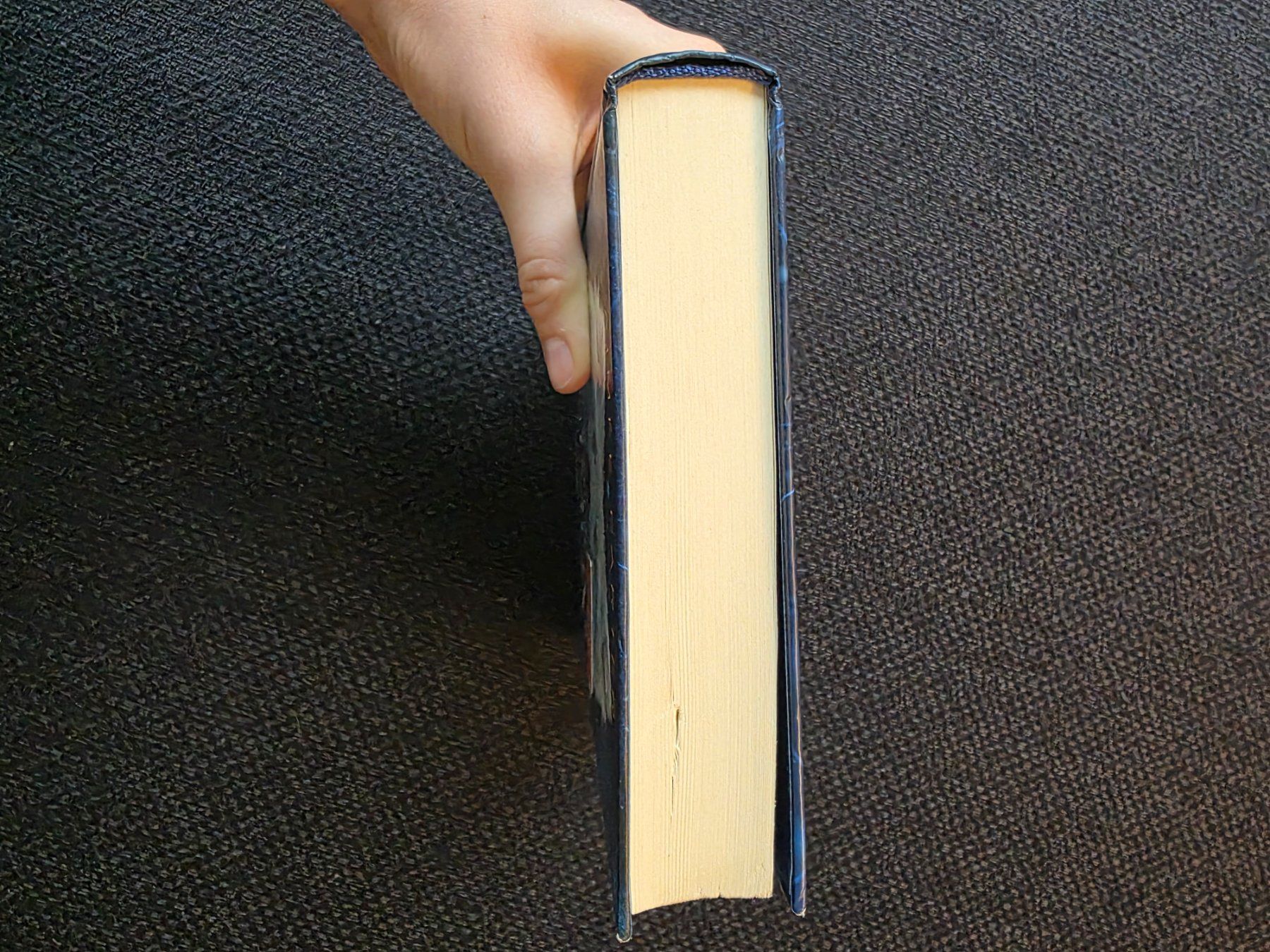 Libri: Die Erben der ANIMOX – Nuovo (secondo la descrizione) da Gunzwil venduto da siijaa 2