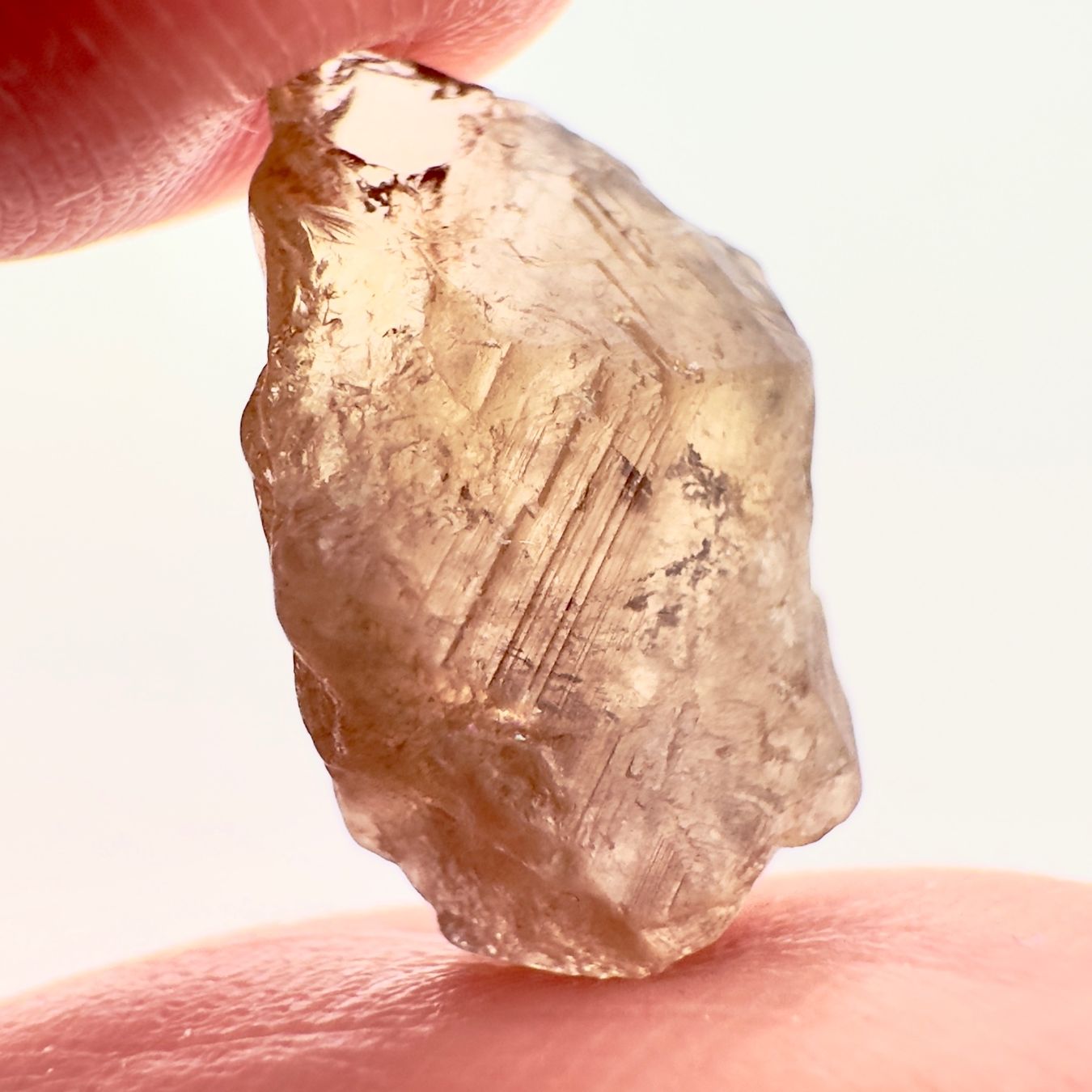 Minerali & Pietre curative: Natural Axinite Crystal - 6.99 ct – Nuovo (secondo la descrizione) da Zürich venduto da Yoohooz 1