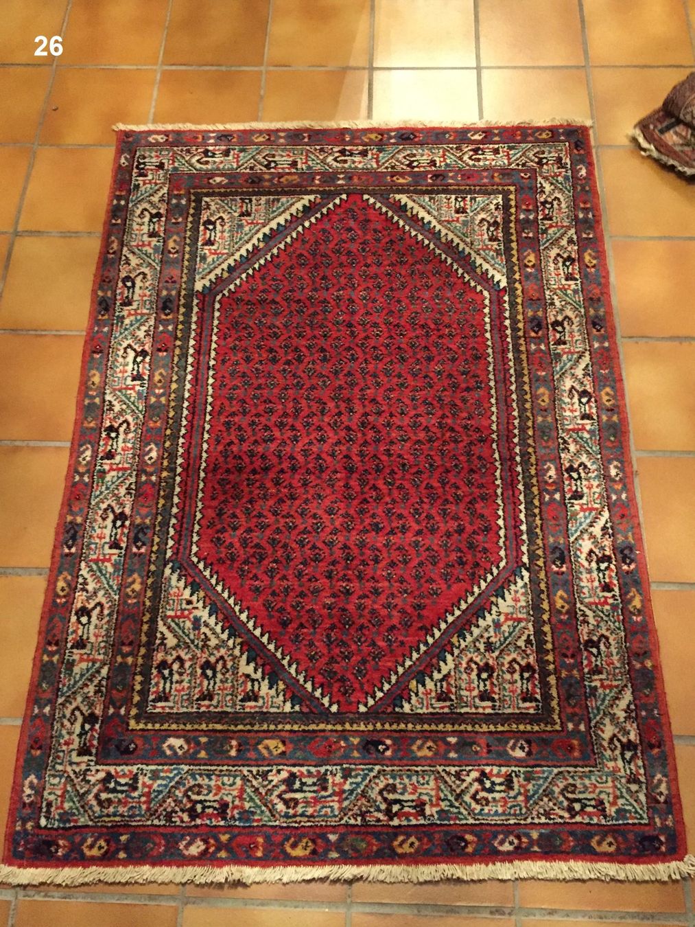 Tappeti: Tapis persan "Hamedan" – Usato da Basel venduto da Lancer4