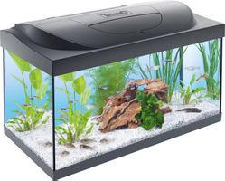 Tetra StarterLine LED 54L