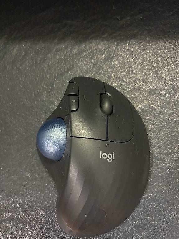 Maus: Logitech Maus – Gebraucht aus Bern von vfsw0