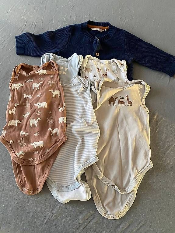 Maglioni & Felpe: 1 Pullover, 5 Body Grösse 68 – Usato da Reinach BL venduto da lum_c2rl