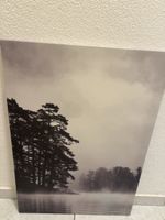 Bild Wandbild Landschaft Nebel Bäume See guter Zusta