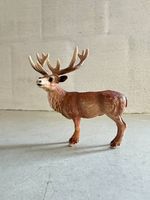 Hirsch von Schleich
