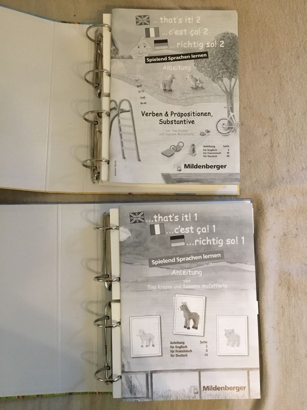 Libri: Lehrmittel, Spielend Sprachen lernen – Nuovo (secondo la descrizione) da Diessenhofen venduto da quinto9 2