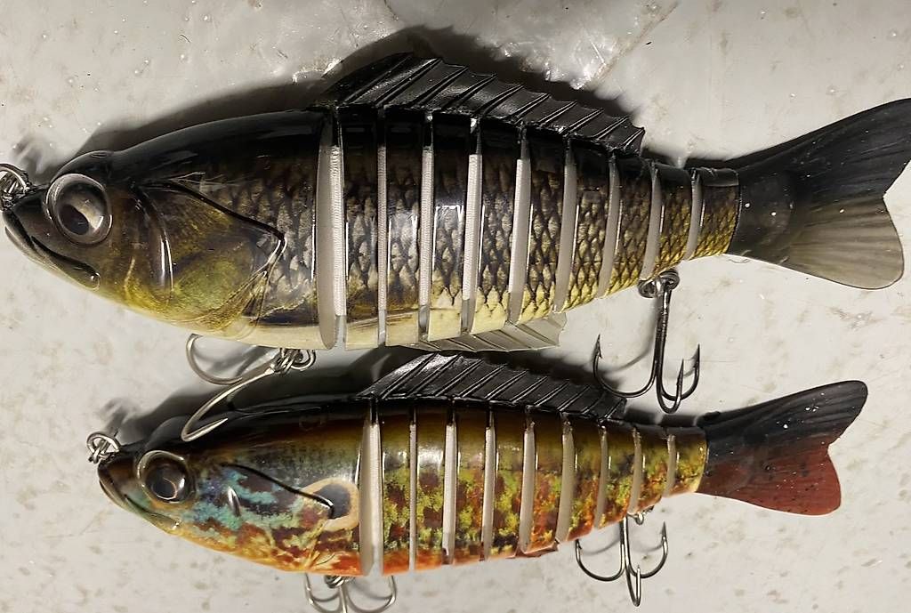 Esche: Leurre segment 23cm/130gr – Usato da Preverenges venduto da Jojoa35 1