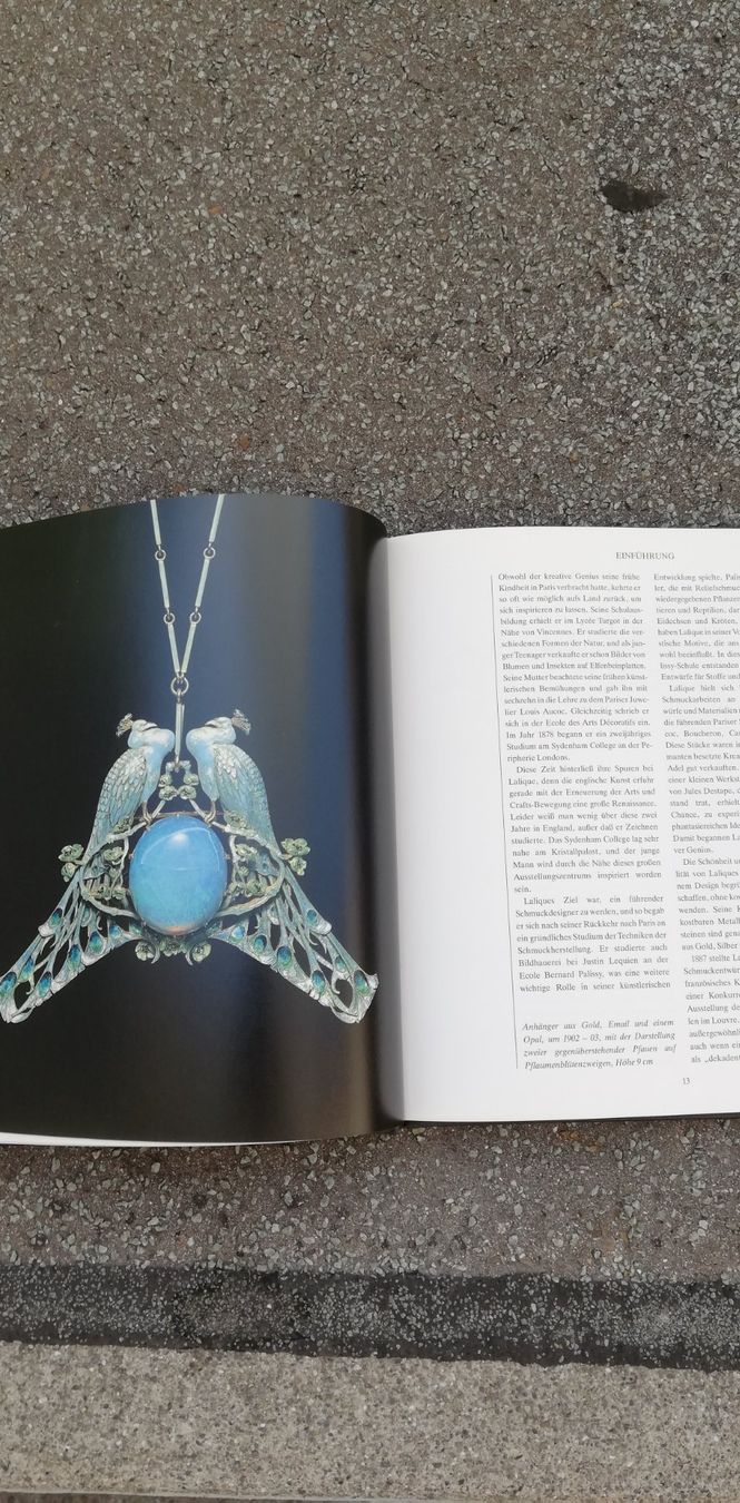 Bücher: Lalique - Schmuck und Glaskunst – Gebraucht aus Thun von Matthias72 4