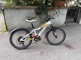 20 Zoll Kindervelo