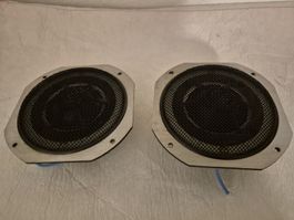 Visaton Mitteltöner DMS 15 AW 8 Ohm Paar gebraucht