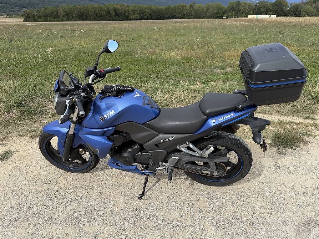 Strada: Sym Wolf 250i – Usato da Petit-Lancy venduto da Londnon