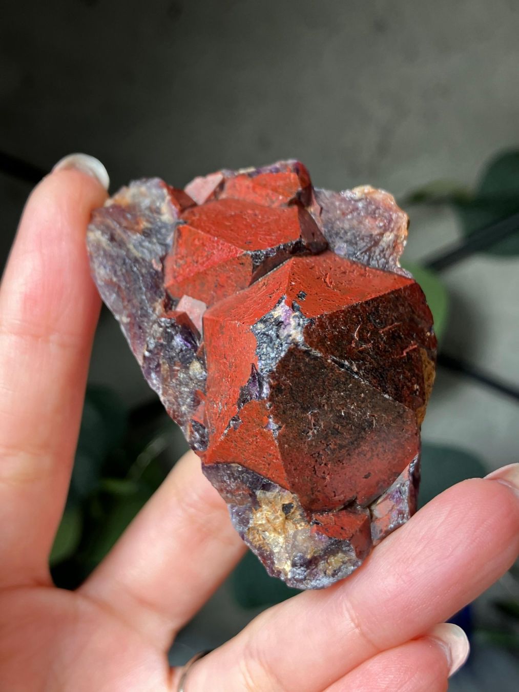 Pietre preziose: Thunder Bay Amethyst – Nuovo (secondo la descrizione) da Neuheim venduto da m.hald 3