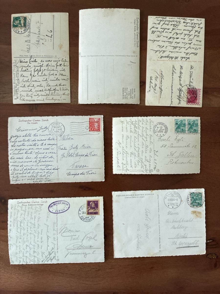 Cartoline postali: 11 Ansichtskarten Schweiz vom Zoo Zürich  – Usato da Oftringen venduto da Cla.vD.74 1