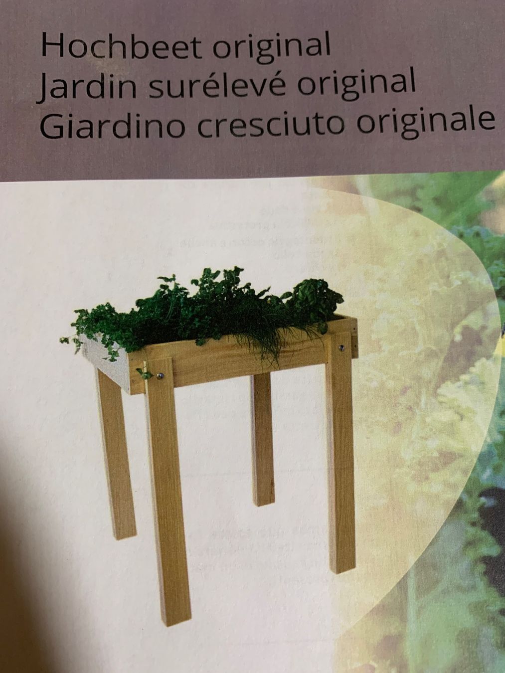 Articoli in legno: Hochbeet Schweizerholz Fichte/Tanne – Nuovo (secondo la descrizione) da Homberg b. Thun venduto da Treeart-1