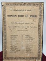 Ancien herbier suisse – Mauvaises herbes des prairies
